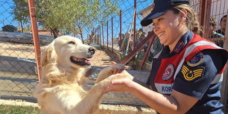 Antalya’da kaçak sigara operasyonu