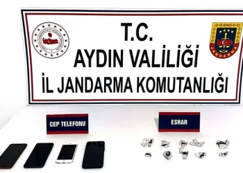 Manavgat’ta kamyonet ile otomobil çarpıştı: 2 yaralı