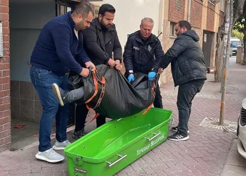 Cins köpekler jandarmayı geçemedi