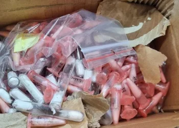 On ay önce mantar toplarken kaybolan yaşlı adamı komando timleri arayacak