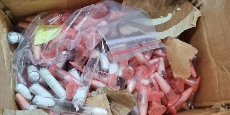 On ay önce mantar toplarken kaybolan yaşlı adamı komando timleri arayacak