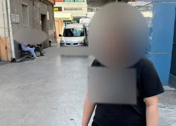 Aksaray’da sürüye saldıran kurtlar 100 koyunu telef etti