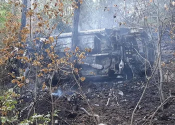 Sürücü ve yolcu yanarak hayatını kaybetti