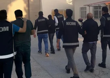 Dolandırıcılara eş zamanlı operasyon