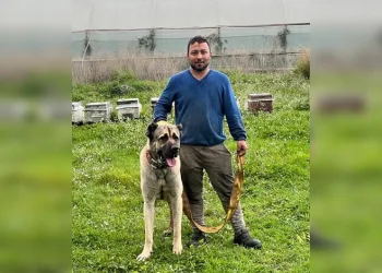 Silahlı saldırgan saklandığı evde yakalandı