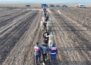 Kazaya karışan araçlar tescilsiz, sürücüler ehliyetsiz çıktı: 38 bin 931 TL ceza yediler