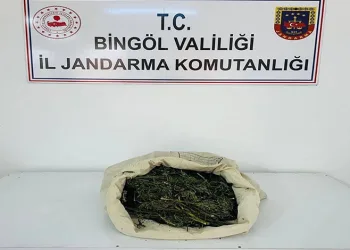 Edirne’de çiftlik yangını: Tavuklar ve arılar telef oldu