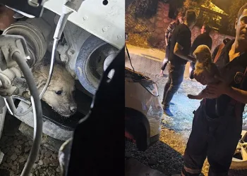 Kütahya’da hakkında 33 yıl hapis cezası ile aranan şahıs yakalandı