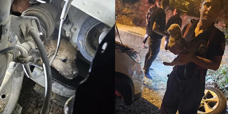 Kütahya’da hakkında 33 yıl hapis cezası ile aranan şahıs yakalandı