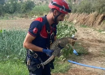 Denetimden kaçmaya çalışan motosiklet sürücüsü yakalandı