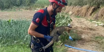 Denetimden kaçmaya çalışan motosiklet sürücüsü yakalandı
