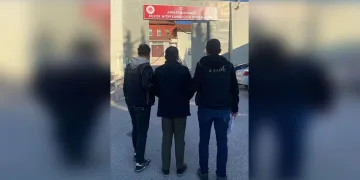 Çiftçinin zeytinine jandarma koruması