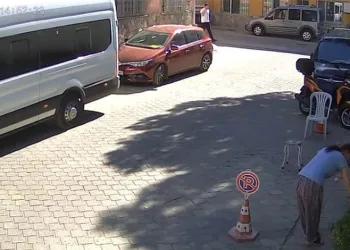 Gözüne kestirdiği çiçeği kökleriyle götürdü