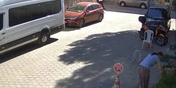 Gözüne kestirdiği çiçeği kökleriyle götürdü