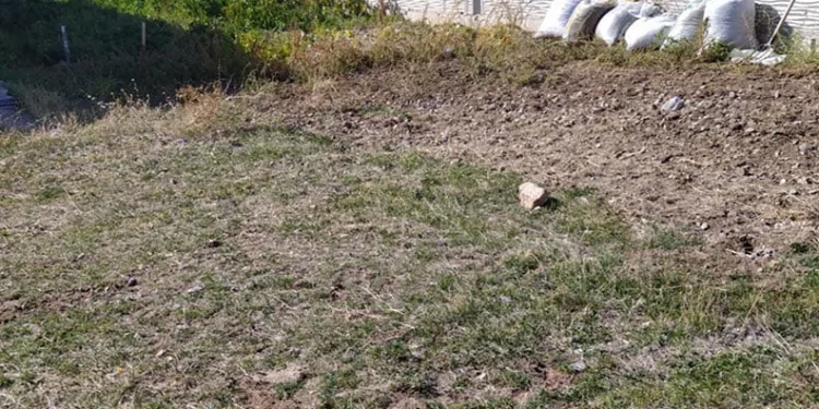 Uyuşturucu operasyonunda tırda 345 kilo skunk ele geçirildi