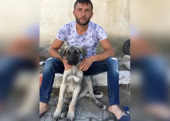 Tartıştığı kişinin bıçak darbesiyle hayatını kaybetti
