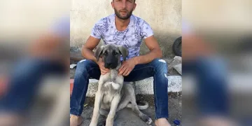 Tartıştığı kişinin bıçak darbesiyle hayatını kaybetti