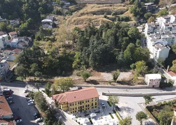 Bursa’da palet fabrikasında yangın