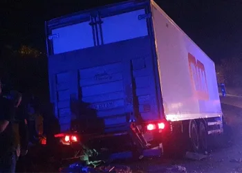 Otomobil ve motosiklet çalan hırsız Viranşehir’de yakalandı