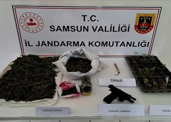 Jandarmadan uyuşturucu operasyonu