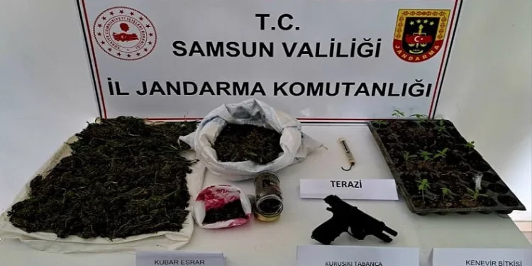 Jandarmadan uyuşturucu operasyonu