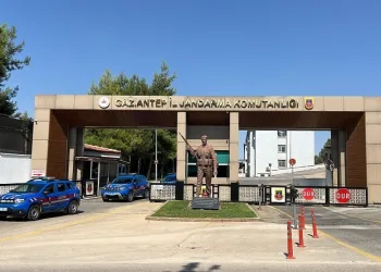 Hırsızlık suçundan cezası bulunan firariyi jandarma yakaladı