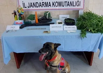 Uyuşturucu madde ticareti yapan şahsa jandarma operasyonu