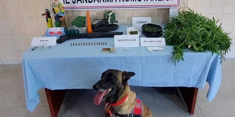Uyuşturucu madde ticareti yapan şahsa jandarma operasyonu