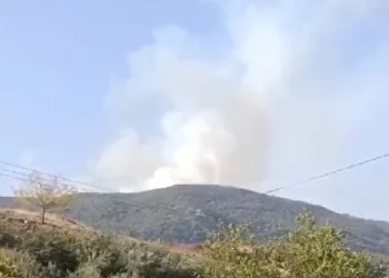 Gaziantep’te orman yangını