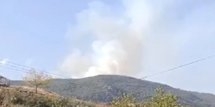 Gaziantep’te orman yangını
