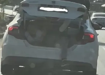 Otomobilin bagajında tehlikeli yolculuk