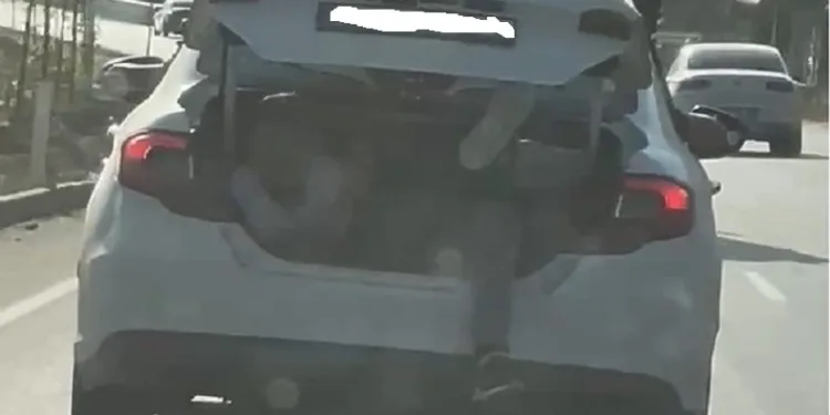 Otomobilin bagajında tehlikeli yolculuk
