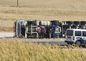 Kuzu yüklü tır devrildi, hayvanlar telef oldu