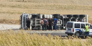 Kuzu yüklü tır devrildi, hayvanlar telef oldu