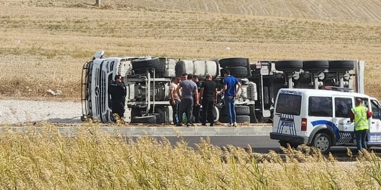 Kuzu yüklü tır devrildi, hayvanlar telef oldu
