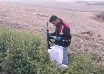 Silah kaçakçılığı operasyonunda jandarma cephanelik ele geçirdi