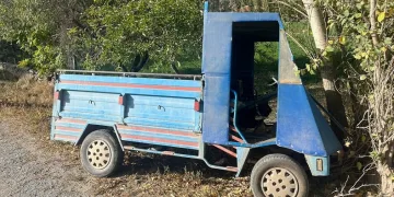 Ağaca çarpan patpat sürücüsü ağır yaralandı