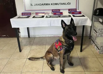 Polis ve jandarmanın denetimleri sürüyor