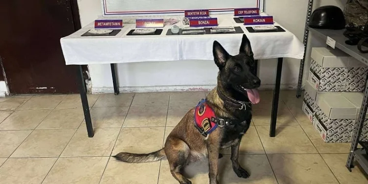 Polis ve jandarmanın denetimleri sürüyor