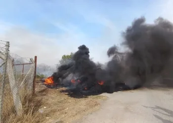 Samanlıktan çıkan yangın bahçeye sıçradı