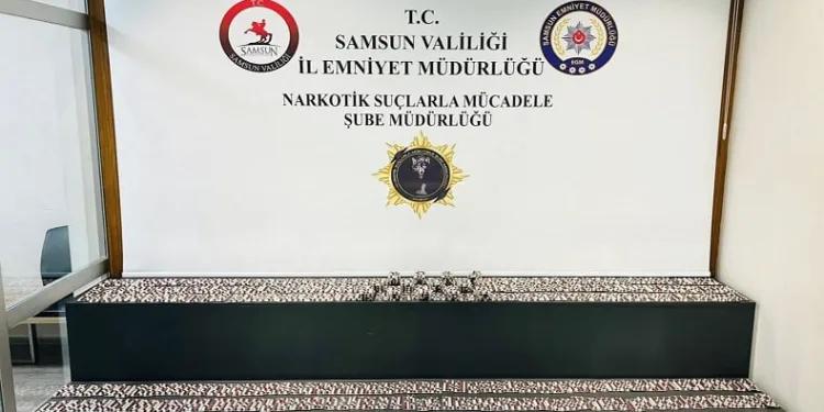 Araçta 5 bin 530 adet sentetik ecza ele geçirildi