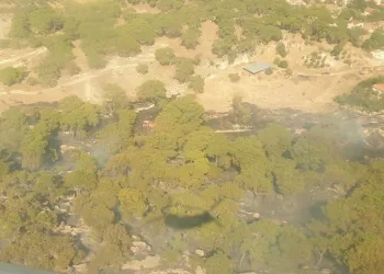 Tarım arazisinde çıkıp ormana sıçrayan yangın söndürüldü
