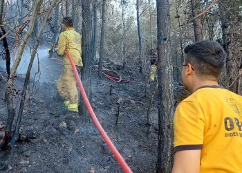 Orman yangını havadan ve karadan müdahaleyle söndürüldü