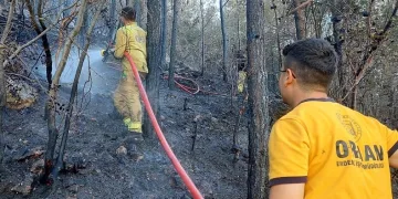 Orman yangını havadan ve karadan müdahaleyle söndürüldü