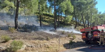 Vadide çıkan orman yangını, büyümeden söndürüldü