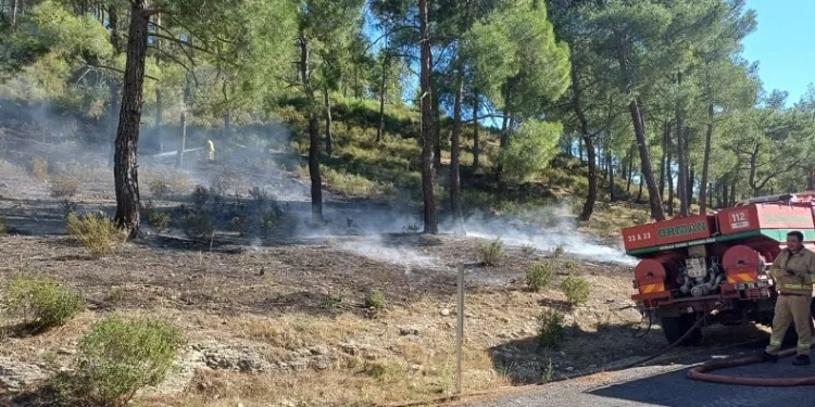 Vadide çıkan orman yangını, büyümeden söndürüldü