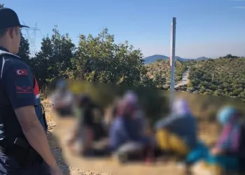 Yarım ton incir çalan hırsızlar jandarmaya takıldı