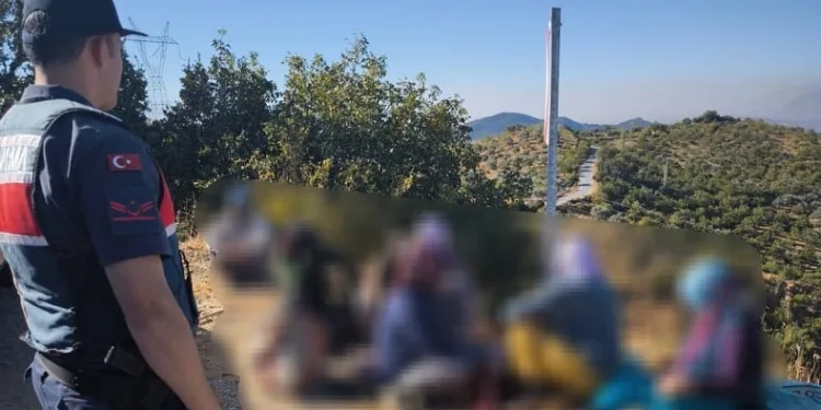 Yarım ton incir çalan hırsızlar jandarmaya takıldı