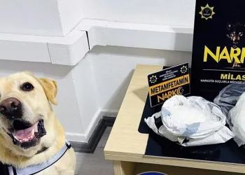 Narkotik köpeği ‘Çiko’ affetmiyor