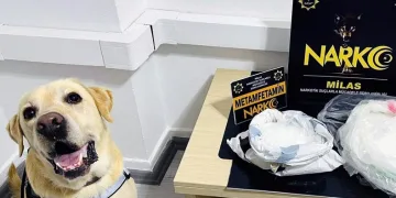 Narkotik köpeği ‘Çiko’ affetmiyor